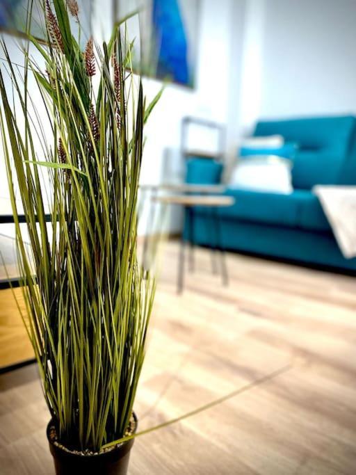 Appartement Mychoice Salmarina à Rota Extérieur photo